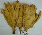 Tobacco