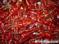 Red Chilli