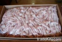 Grade A Frozen Chicken Feet