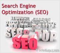 Search Engine Optimization