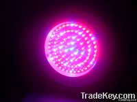 90W LED Grow Lights Discount Super Bright led grow Lights for medical