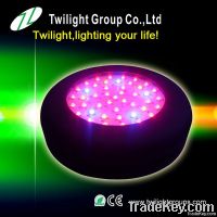 50W vegetable growing led light bloom led grow light