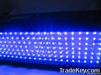 For hydroponic high lumen 200 watt plasma led grow light