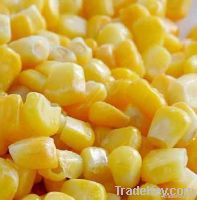Frozen vegetable-Frozen Sweet Corn Kernel