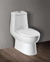 Ceramic Water Closet (1 piece/Dual flush/Nano finished/S trap)