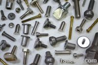 Special Screw Fastener Bolt Nut Rivet