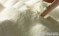 Export Skimmed Milk Powder | Full Cream Milk Powder Suppliers | Skimmed Milk Powder Exporters | Full Cream Milk Powder Traders | Skimmed Milk Powder Buyers | Full Cream Milk Powder Wholesalers | Low Price Skimmed Milk Powder | Full Cream Buy Milk Powder