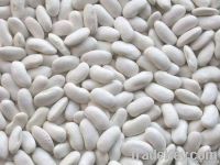 White kidney beans