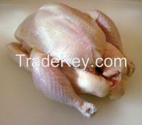 Frozen, Halal, Chicken Suppliers, Breast, Fillet, Leg, paw, Drumstick , Wings, Eggs, Fertile, Hatching egg suppliers