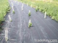 weed control fabric in rolls