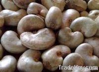 Raw Cashew Nuts & Roasted Cashew Nuts | Dried Fruits | W240 Cashew Nuts Suppliers | W320 Cashew Nut Exporters |Buy  WW230 Cashew Nut