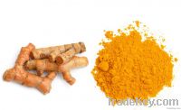 Turmeric finger& powder