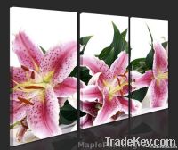 Hot Sale Flower Canvas Printings with  Eco-friendly Material