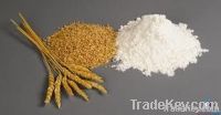 wheat flour