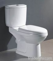 washdown two piece toilets