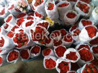 fresh carnation flower 