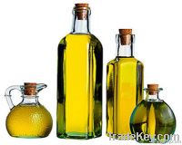 Palestinian Olive Oil