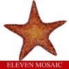 Swimming pool tile asteroidia pattern EMHC34