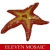 Swimming pool tile asteroidia mural EMHC26