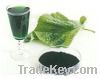 Sodium Copper Chlorophyllin