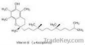 Vitamin E 50% CWS/S