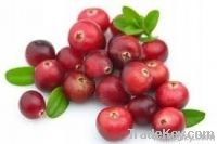 Cranberry Extract