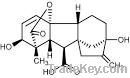 Gibberellin A3(GA3)