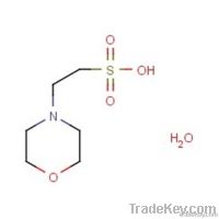 MES;2-Morpholinoethanesulfonic acid