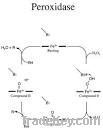 POD;Peroxidase from horseradish