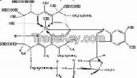 Mecobalamin  JP14