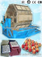 Cardboard/Paper Fruit/Egg tray production machinery