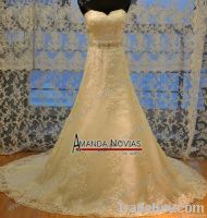 Amazing Dresigner Lace Appliques Elegant A-line Bride Dresses