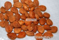 https://fr.tradekey.com/product_view/Apricot-Kernel-Seed-4409847.html