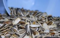 New Crop Sunflower Seeds Suppliers | Sunflower Seed Exporters, | Sunflower Black Seed  | Striped Black Seed | Flowers Seed | Sunflower Kernels