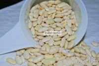 White Bean Seed