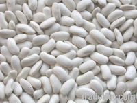 Dry White Beans