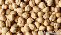 Spanish Chickpea,chickpeas suppliers,chick pea exporters,chickpea traders,kabuli chickpea buyers,desi chick peas wholesalers,low price chickpea,best buy chick peas,buy chickpea