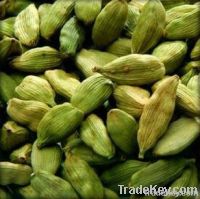 green cardamom spices