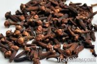 cloves spices