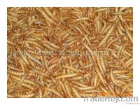 Microwave dried Natural Pet Food Mealworm