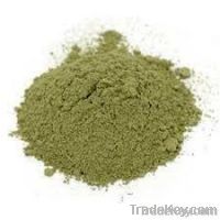 green coffee bean extract