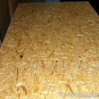 osb board