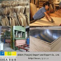 https://es.tradekey.com/product_view/1220-2440-18mm-Film-Faced-Plywood-4412482.html