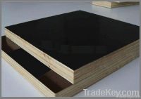 film faced plywood sheet