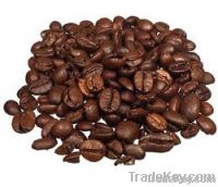  Export Coffee Beans | Coffee Bean Importer | Coffee Beans Buyer | Buy Coffee Beans | Coffee Bean Wholesaler | Coffee Bean Manufacturer | Best Coffee Bean Exporter | Low Price Coffee Beans | Best Quality Coffee Bean | Coffee Bean Supplier | Sell Coffee Be