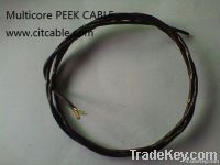 PEEK WIRE CABLE