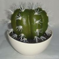 artificial cactus