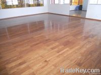 WPC Indoor flooring/Parquet indoor flooring/Waterproof indoor floor