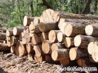 Kosso Timber