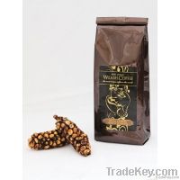 Weasel King Kopi Luwak